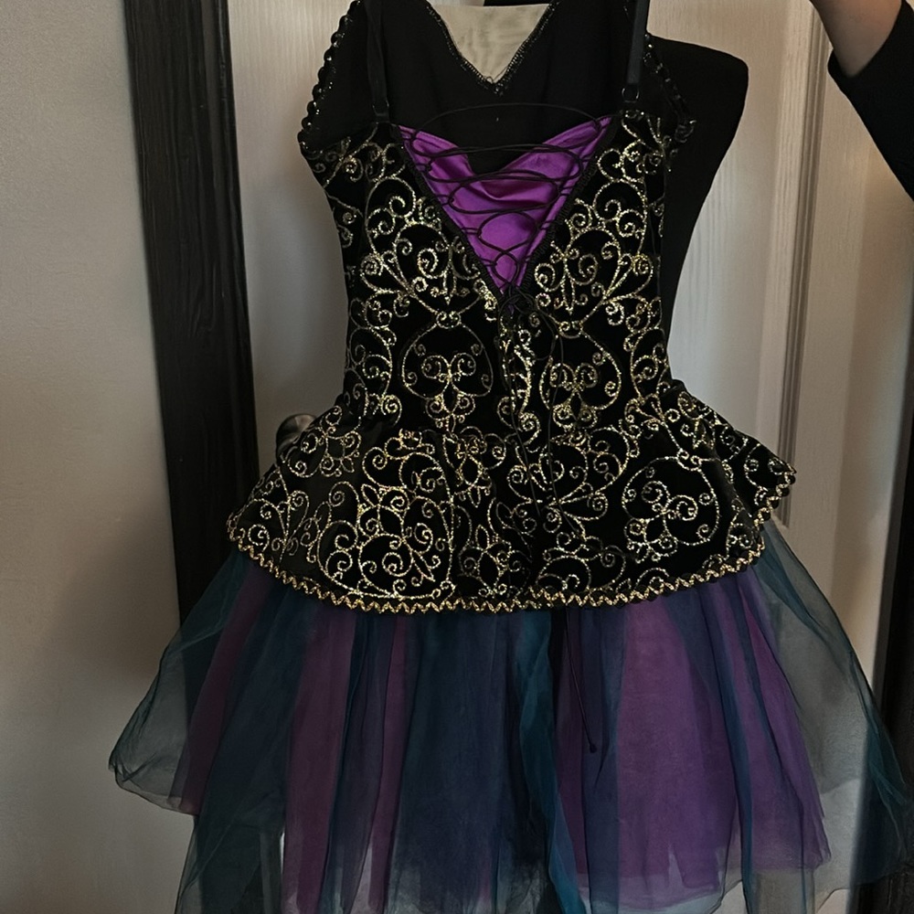 Weissman Ballet Dance Costume - image 5
